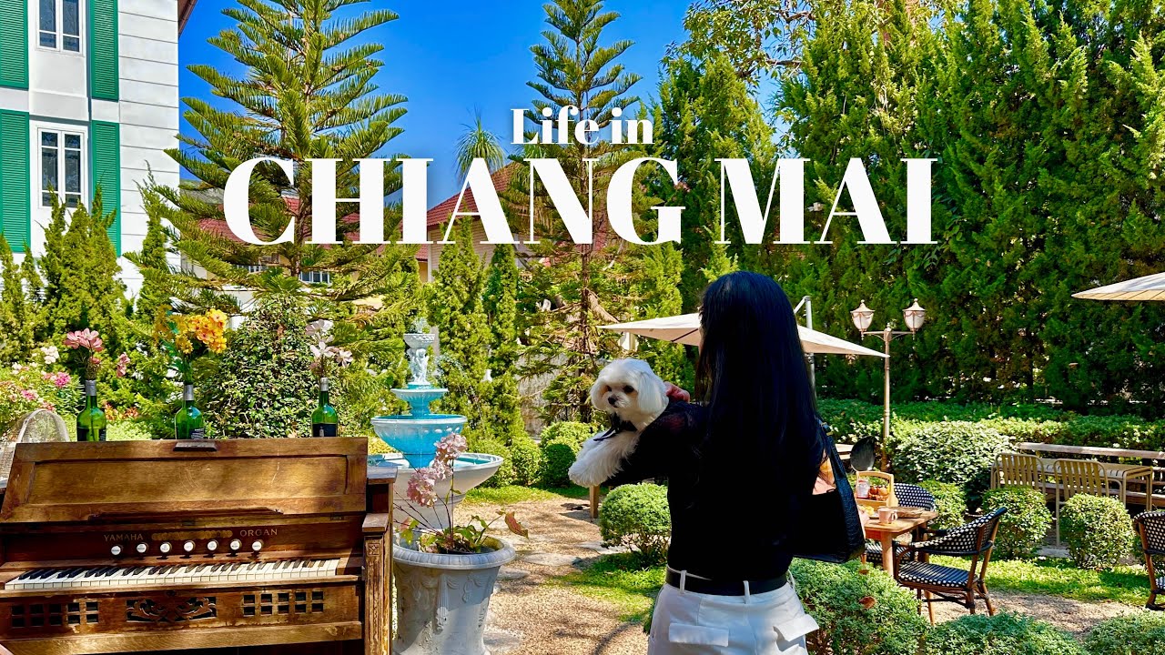 The art of slow living - food, temple & favorite neighborhoods | Chiang Mai vlog