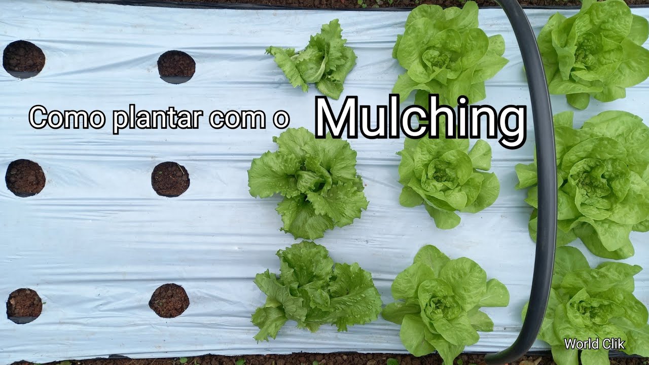 Como fazer a perfuração no MULCHING passo a passo