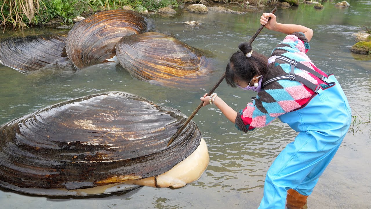 🔥 Pearls Before Swine? Teen’s Clam Find Sparks Ethical Debate Over Greed and Treasure