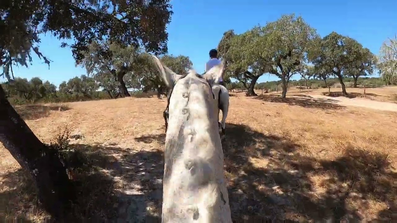 Hacking at Monte Velho Equo Resort in Portugal