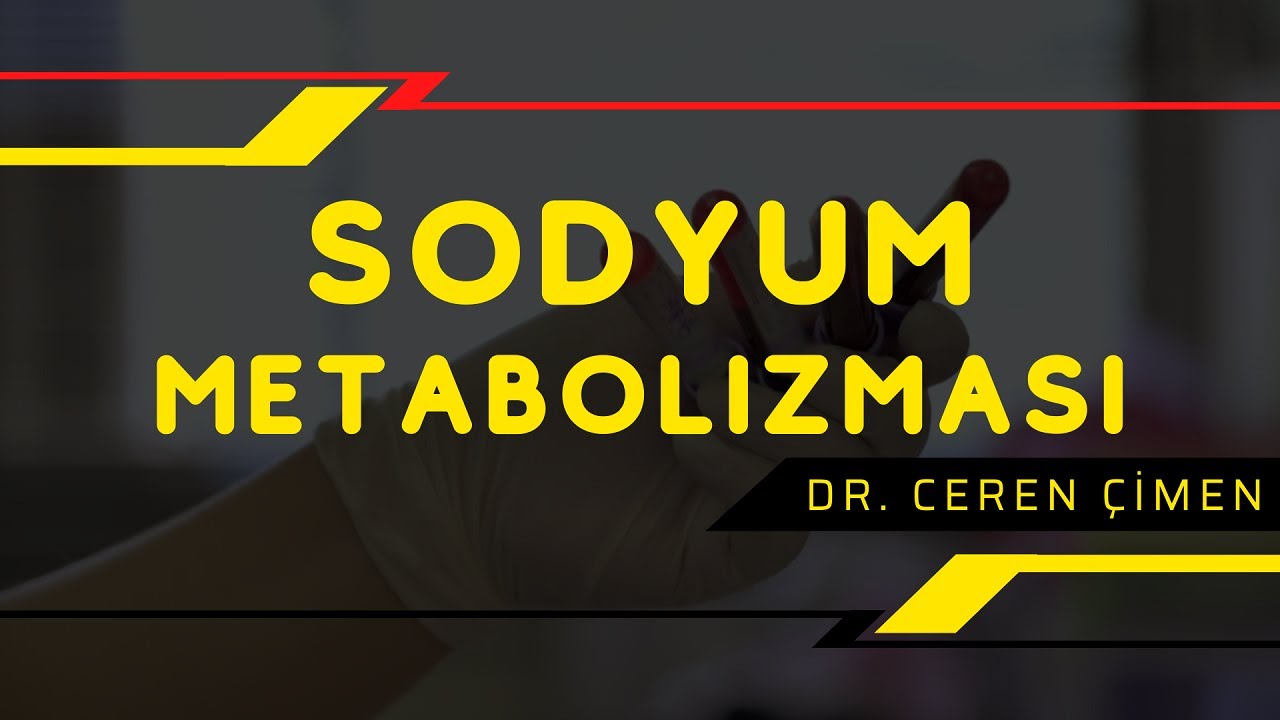 Sodyum Metabolizması Ceren Çimen