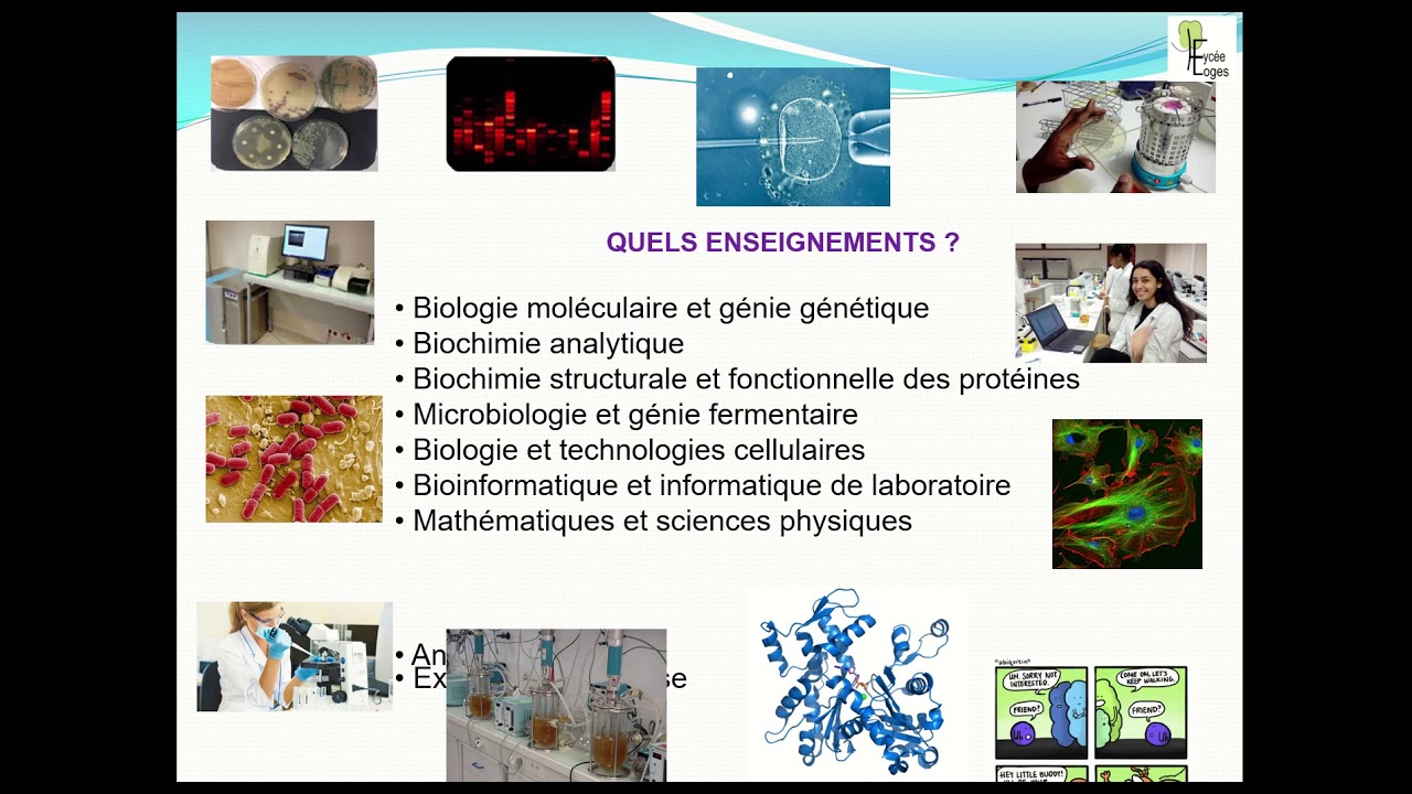 Présentation BTS Biotechnologies