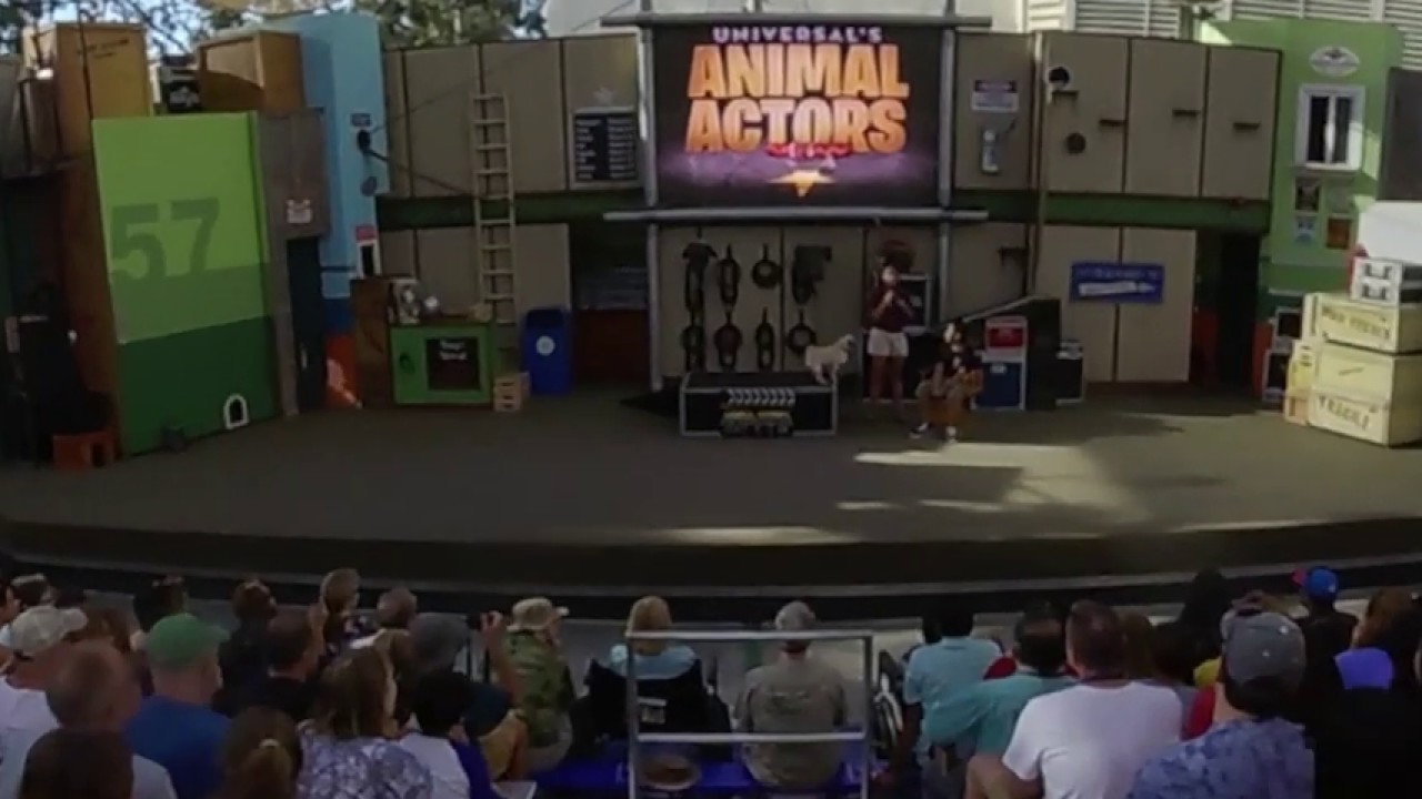 Universal Studios Animal Actors | Full Show in 360°