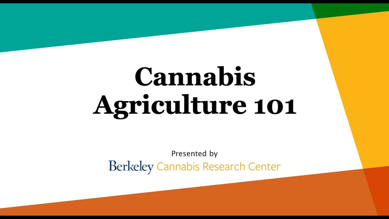 2021 Science Brief | Cannabis Agriculture 101
