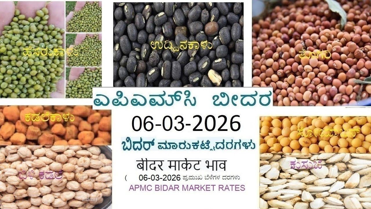 06-03-2026 Apmc Bidar Market Rate #apmcrate 