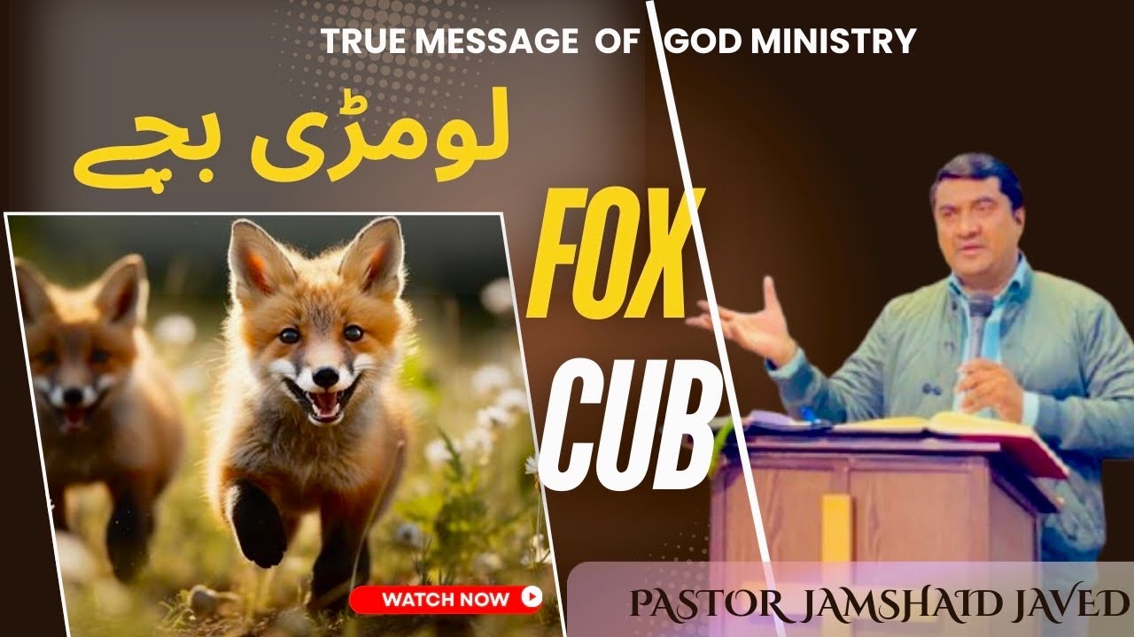 Fox Cub ||hindi-urdu-sermon||Pastor Jamshaid javed 