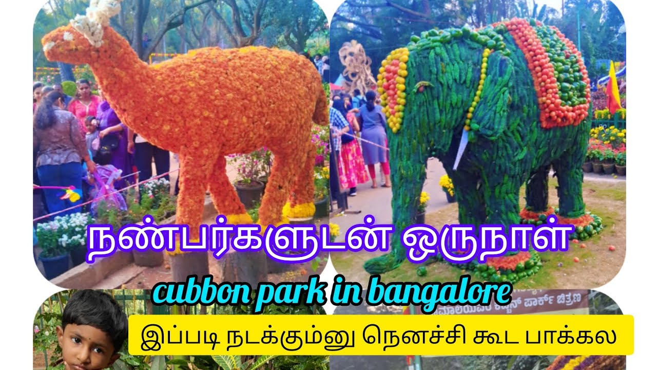 இனிமே எப்போனு தெரியல ஆனா இது ஒரு கடவுள் கொடுத்த எதிர்பாராத சந்தோஷம்  நன்றி இறைவா 