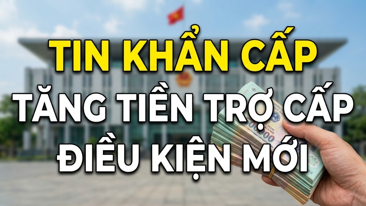 TIN MỚI 2026: TRỢ CẤP NGƯỜI GIÀ & KHUYẾT TẬT - AI SẼ NHẬN?