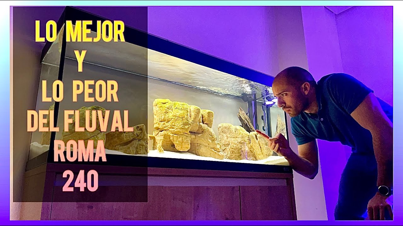 CONCLUSIONES TRAS 60 DIAS DE USO DEL FLUVAL ROMA 240