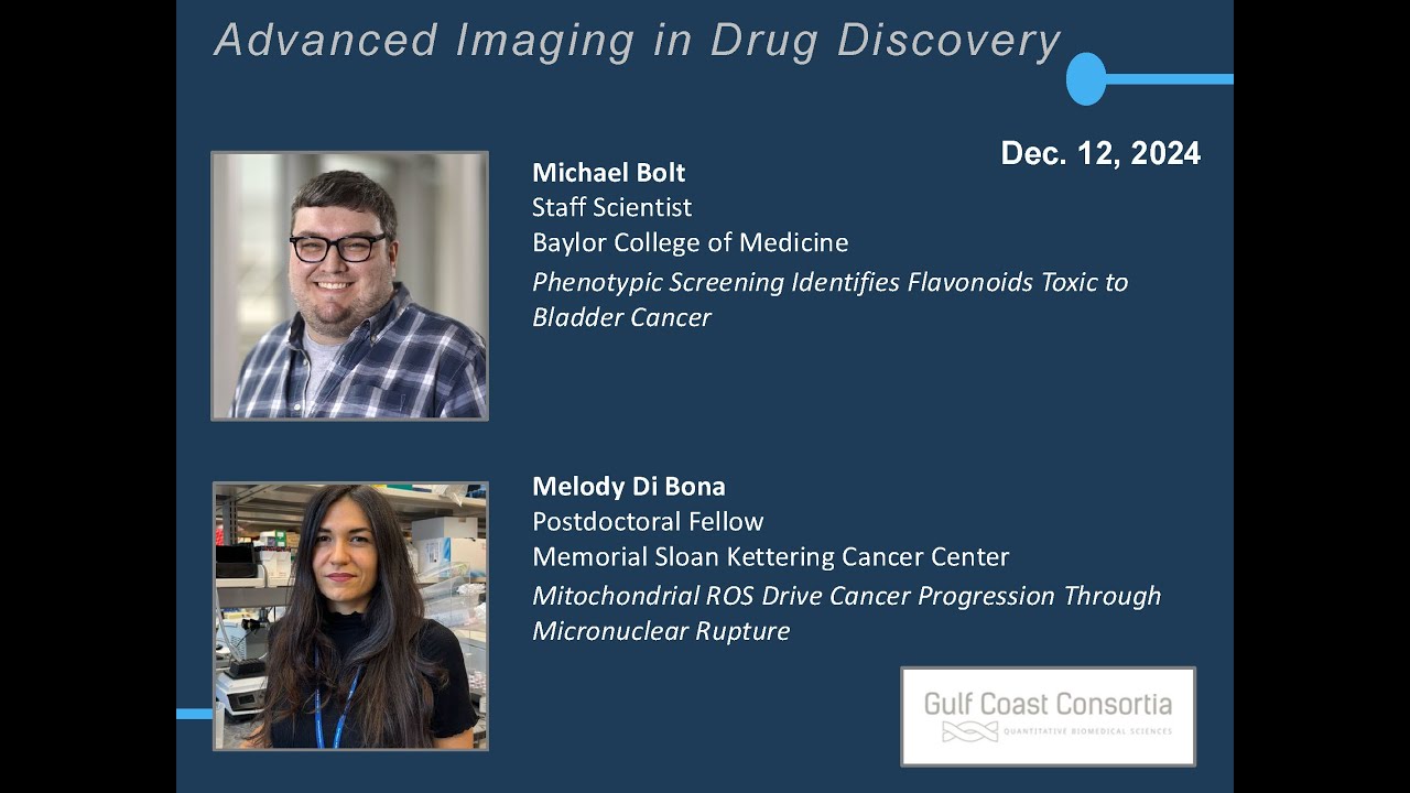 IDDD Round table, Advanced Imaging in Drug Discovery, Dec. 12, 2024