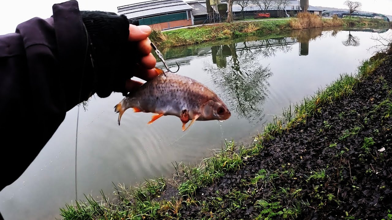Doodaas onder de dobber (#12): Snoekig Jeugdsentiment
