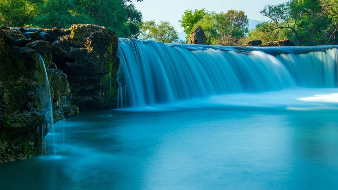 🌿🎶 Relaxing Water  Sounds &  Birdsong │ Calming Music for Meditation & Sleep 🎼│Bible Space