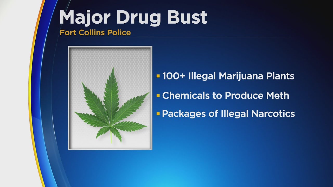 Police: Owner Of Fort Collins Home Was Unaware Of Renter's Illegal Drug Operation