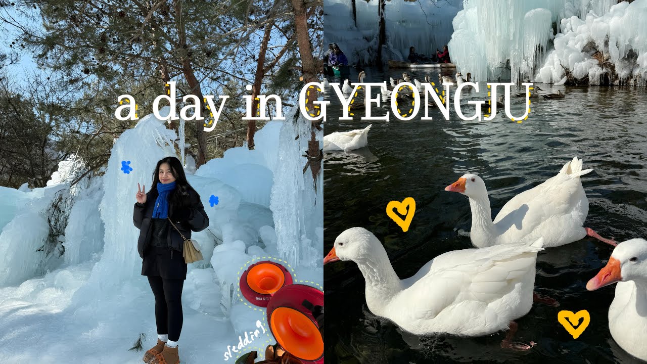 a day in GYEONGJU 🪿❄️ winter in Korea, snow sledding, a must visit places!
