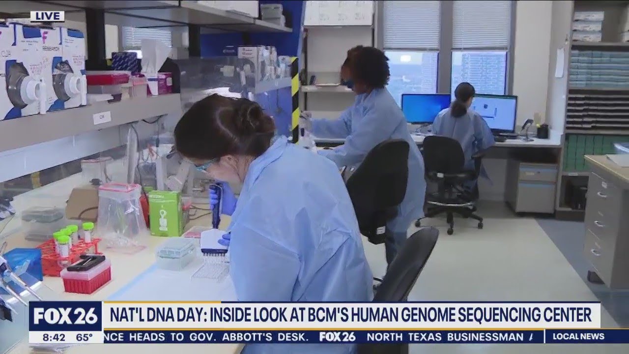 DNA Day: Get an inside look at how DNA is processed