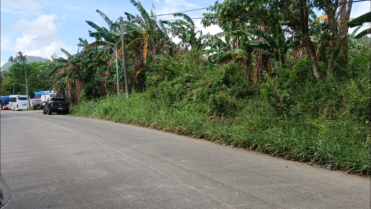 (P# 961) 8,559 sqms Farm Lot tabi ng kalsada sa Bay, Laguna for sale @ 1,500/sqm