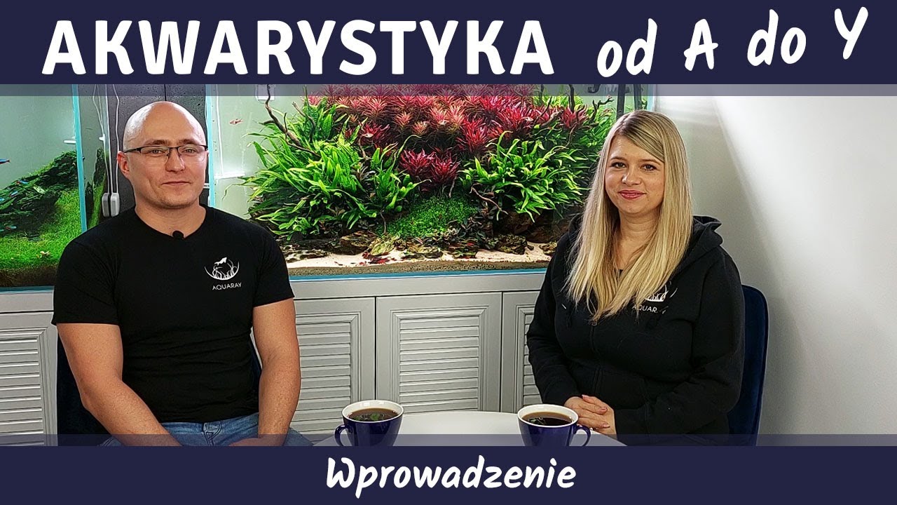 AKWARYSTYKA OD A DO Y z AQUARAY - wprowadzenie