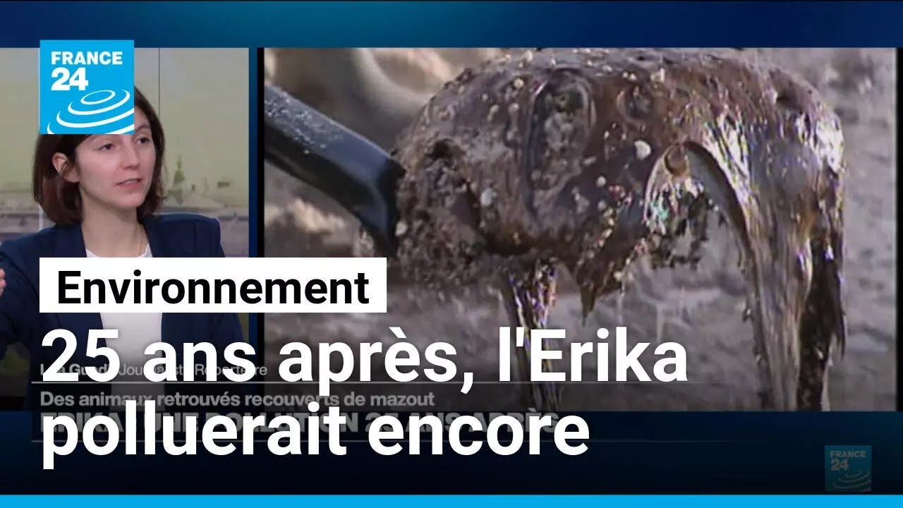 25 ans après, l'Erika polluerait encore • FRANCE 24