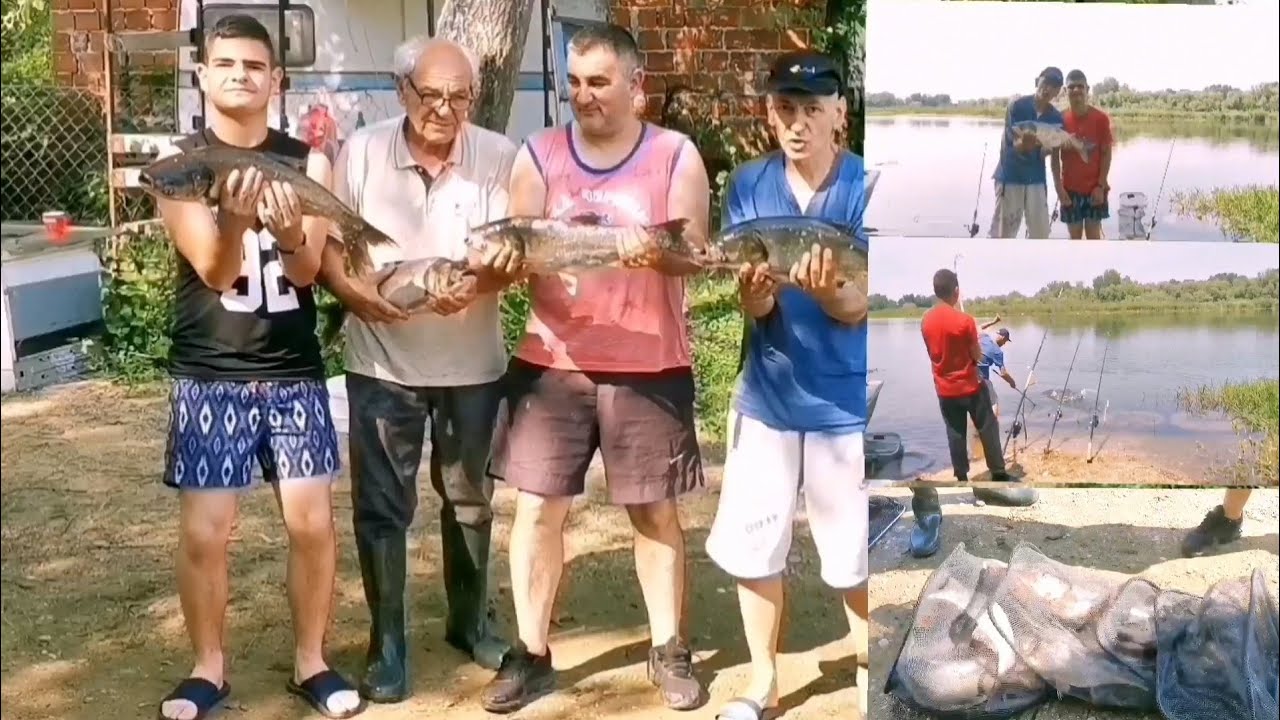 Pecanje tolstolobika na Dunavu..