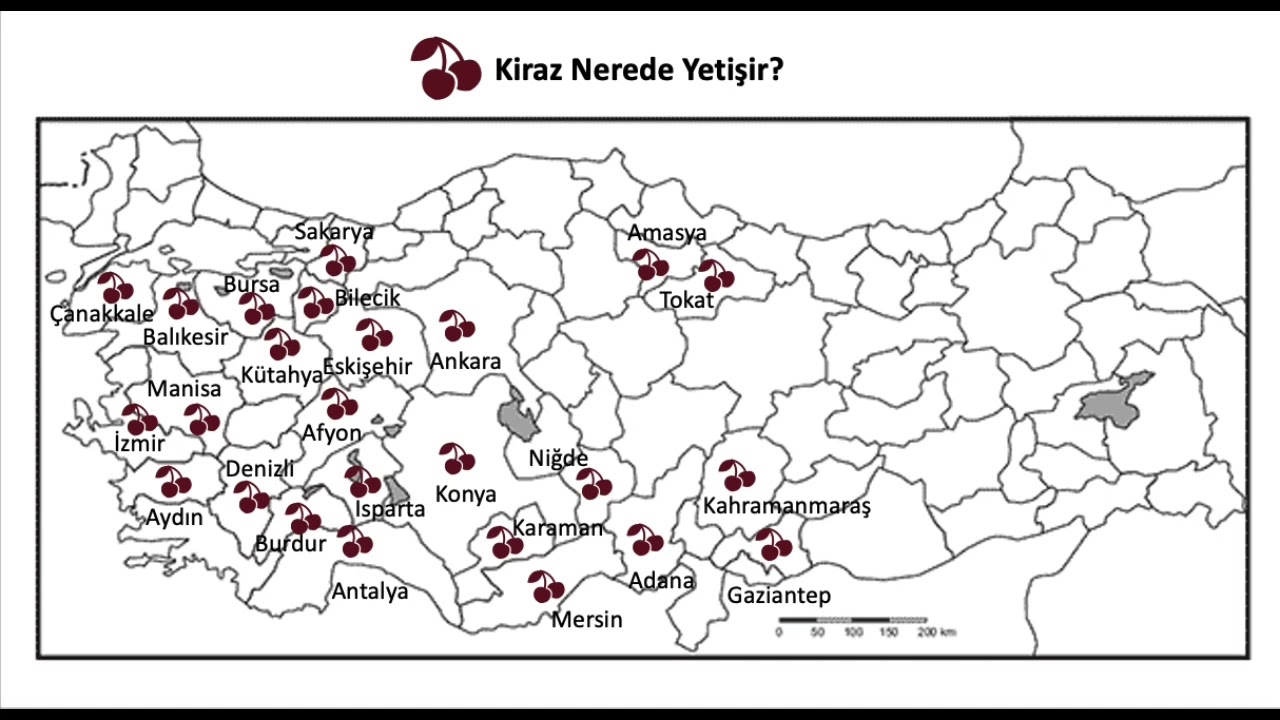 🍒Kiraz T&uuml;rkiye'de Nerede Yetişir? | Ne Nerede Yetişir #14