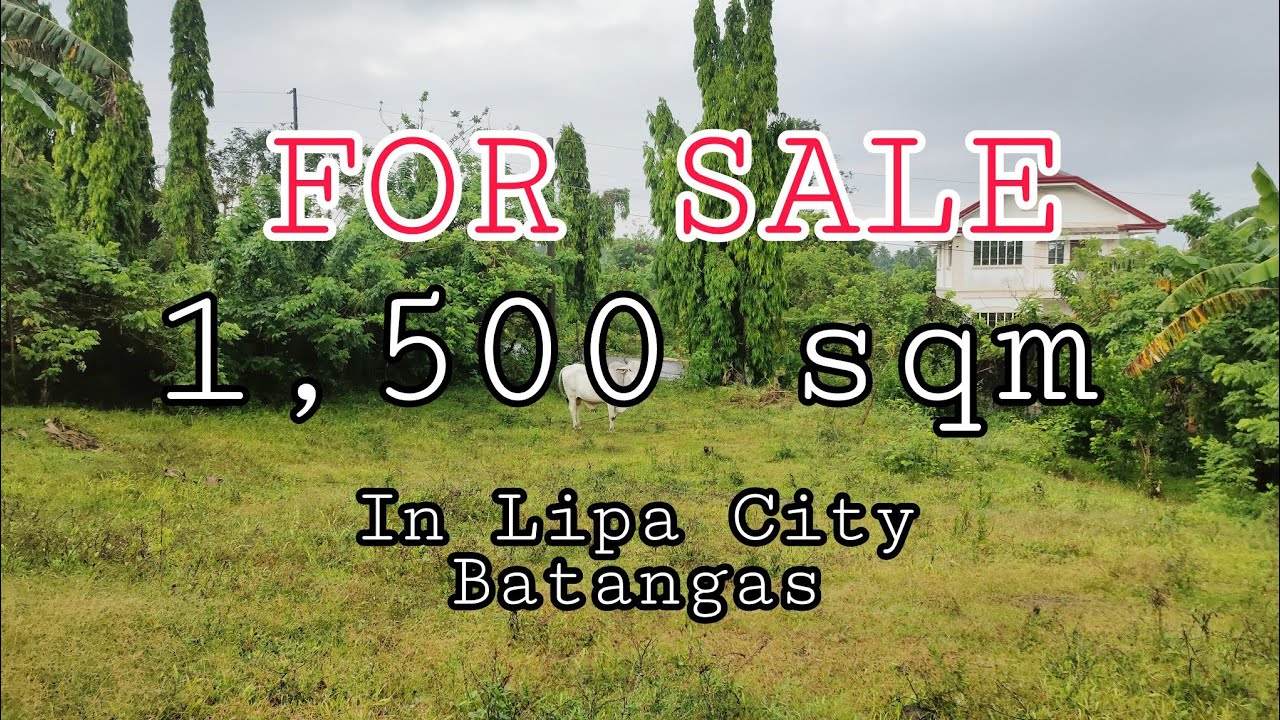 FOR SALE 1,500SQM LOCATED AT BULACNIN LIPA CITY BATANGAS| NEAR NEW CITY HALL IN LIPA CITY.