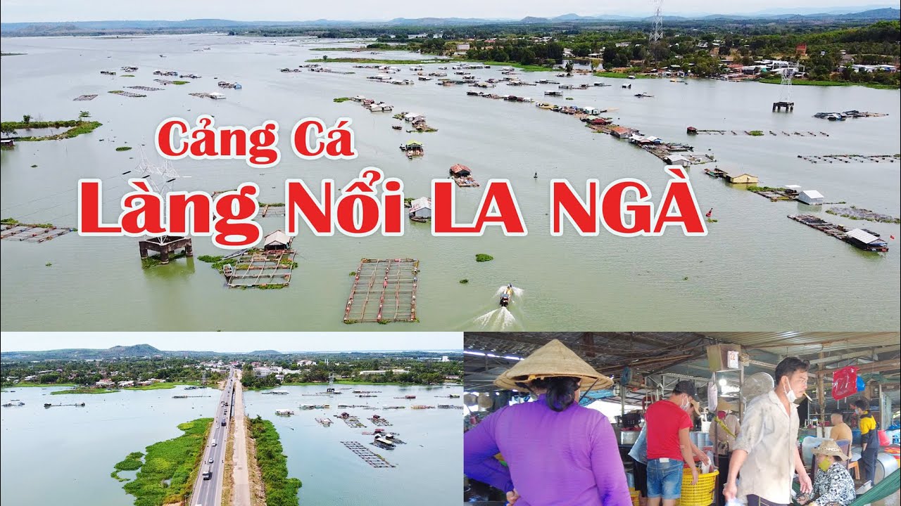Thăm CẢNG CÁ LÀNG NỔI LA NGÀ | Ngày nay ra Sao ? | Định Quán | Đồng Nai |@Người Việt nam