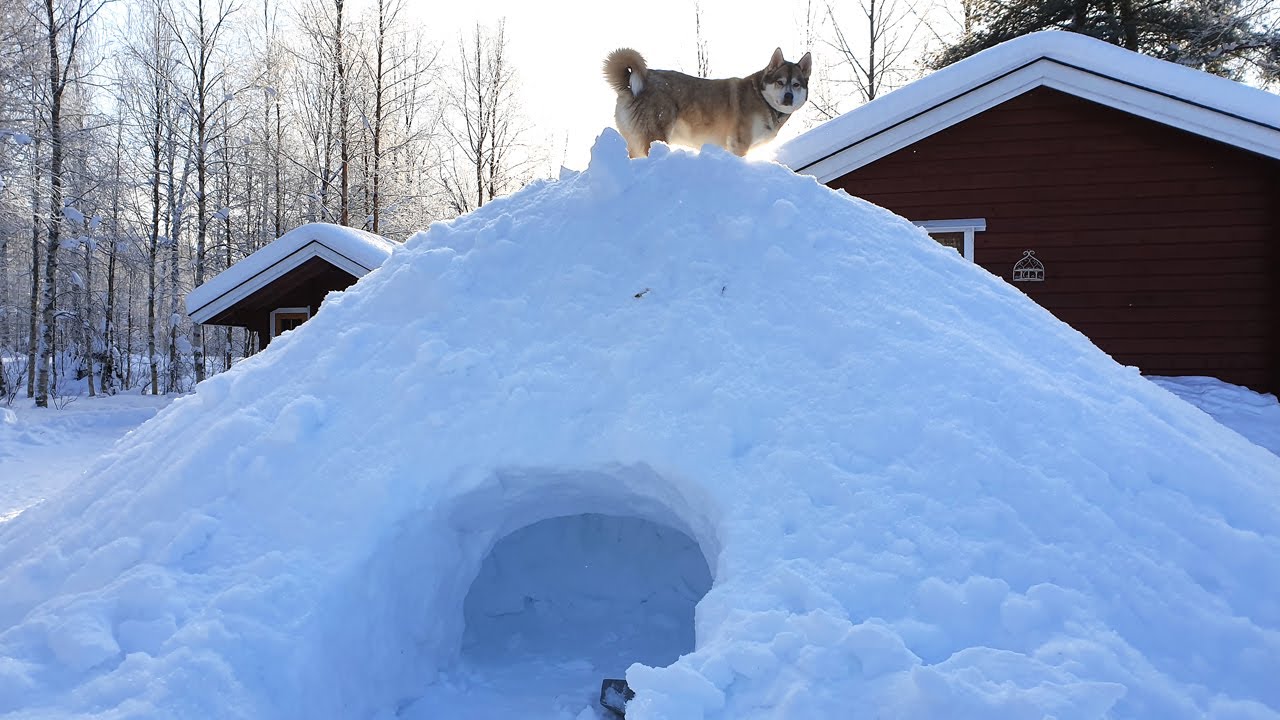 Stove In An Igloo / quinzee