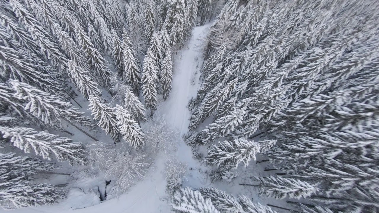Flying an FPV drone through snowy forests in Black Forest (Schwarzwald)