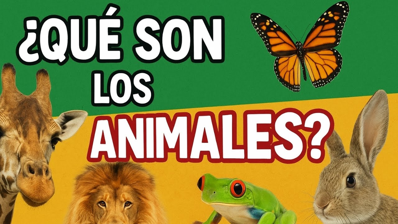 ¿Qué es un animal  El Reino Animal explicado fácil