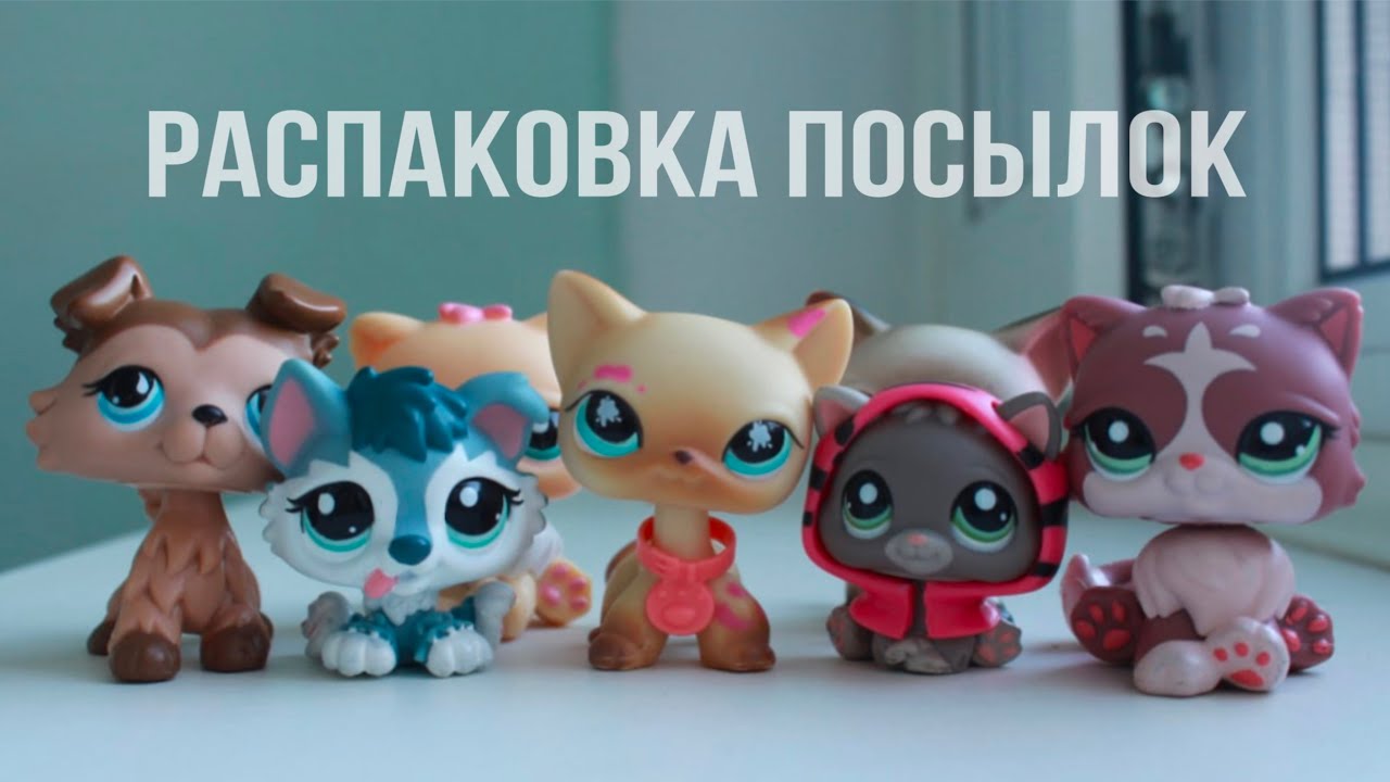 LPS: Распаковка посылок