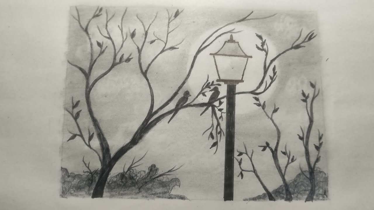Moonlight🌙 Night With Pencil Sketch, Love Birds