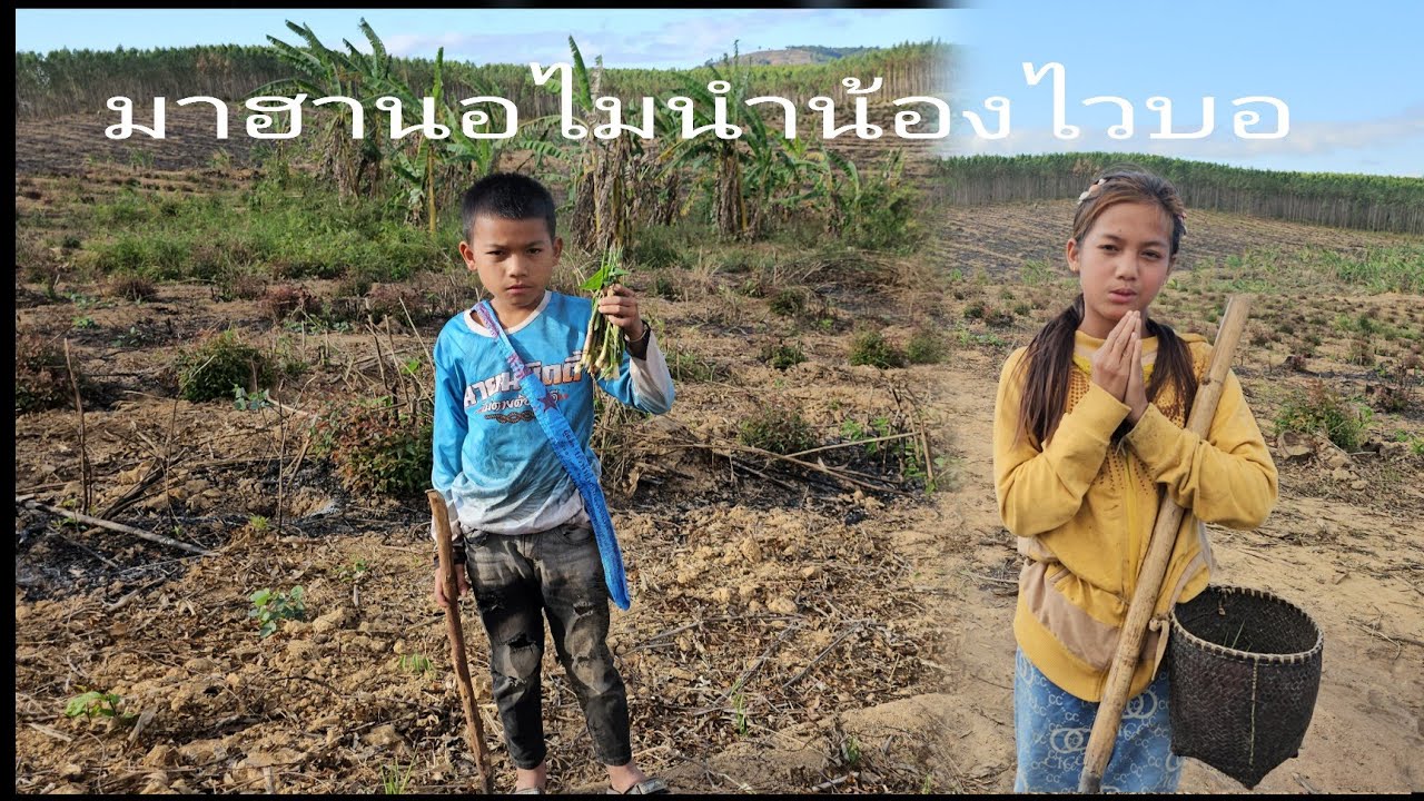 20 กุมภาพันธ์ ค.ศ. 2026