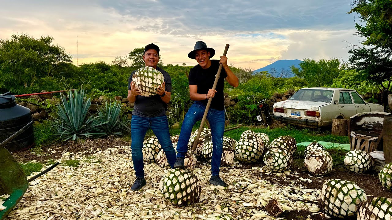 Lo que no conoces de Tequila, Jalisco
