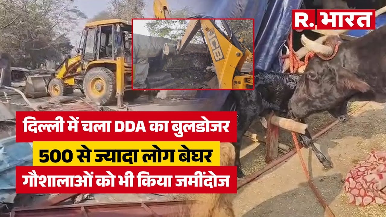 Bulldozer Action In Delhi: दिल्ली के बेगमपुर इलाके में गरजा चला DDA का बुलडोजर, गौशाला भी जमींदोज