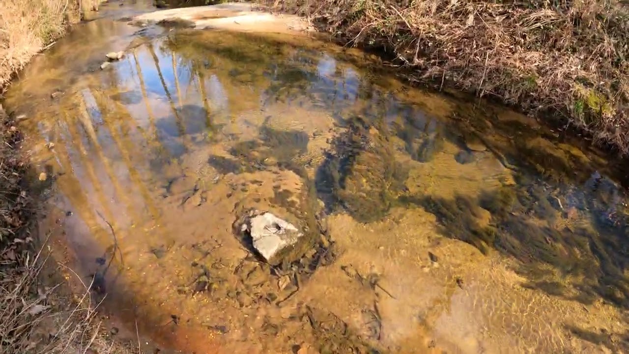 I think it's   gold in this river leave a comment. And let us know what you think.