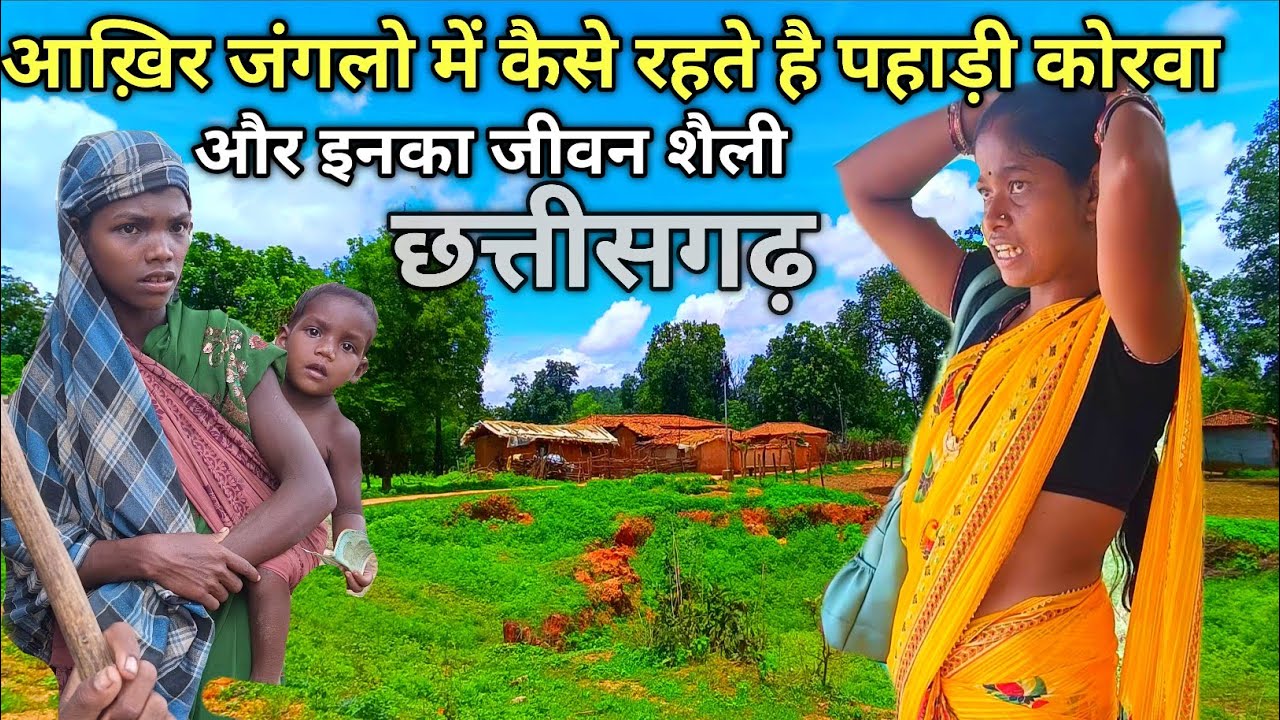 जिंदा लौट के जाना मुश्किल है पहाड़ी कोरवा छत्तीसगढ़। Pahari Korwa Village and Lifestyle Chhattisgarh