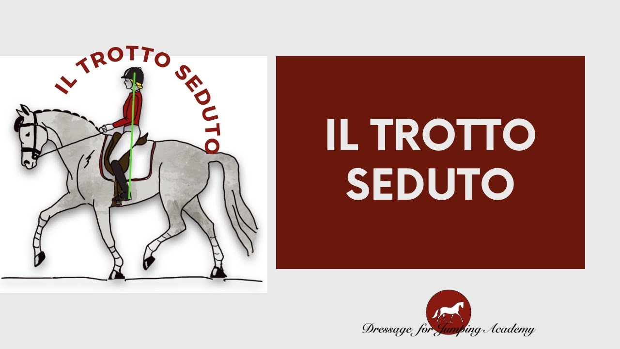 Imparare il trotto seduto #dressageforjumping #equitazione