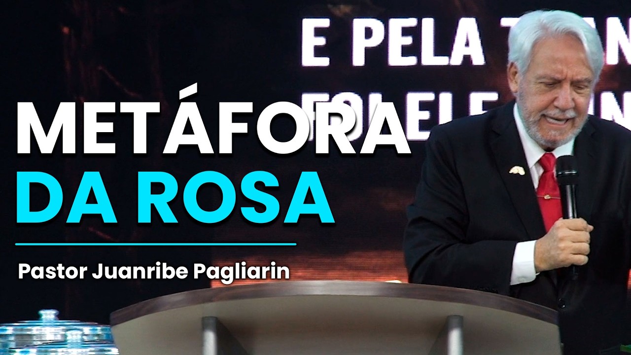 A METÁFORA DA ROSA