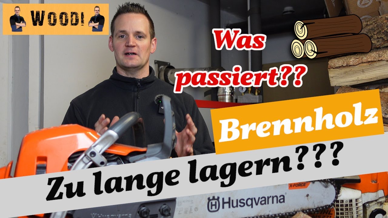Brennholz zu lange lagern - Was passiert? #Brennholz #kaminholz