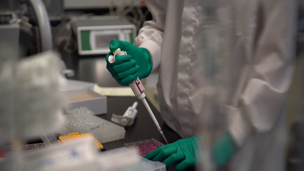 Day in the Life of UVM: Biochemistry Major Hanna Crymble