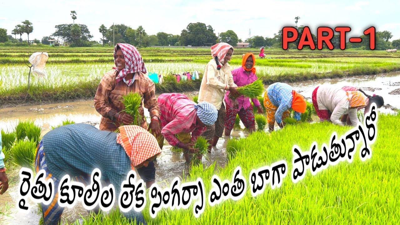 రైతు కూలీల లేక సింగెర్సా ఎంత బాగా పాడారో చూడండి Part-1 | Vari Naatlu Songs |