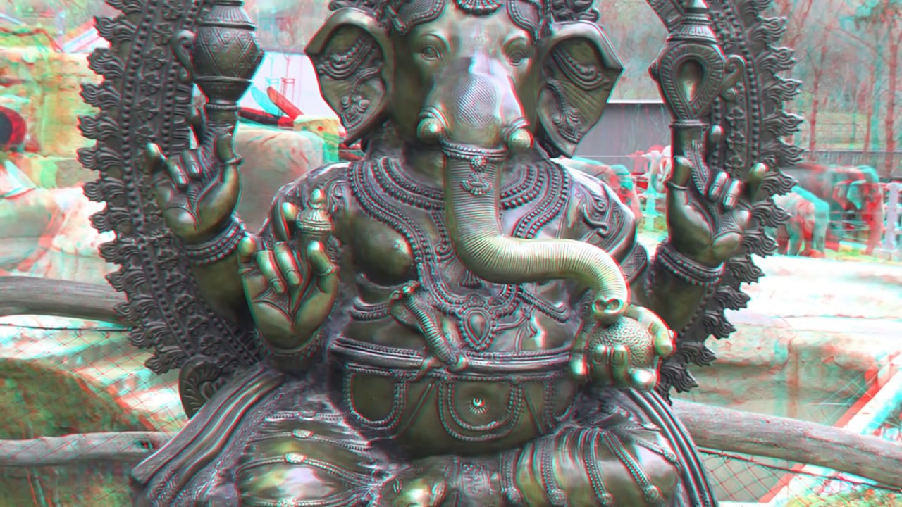 world of the animals 3D anaglyph Full HD 1080p