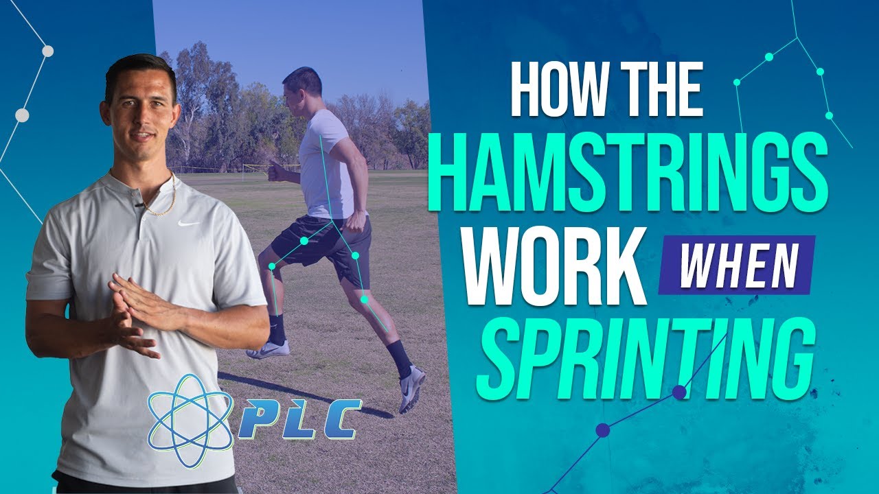 Sprint Technique Coaching: How The Hamstrings Work When Sprinting #sprintmechanics #performancelab