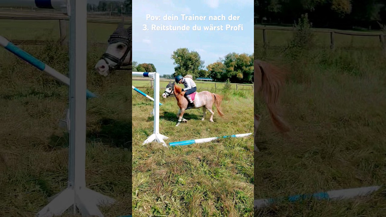 Trainer mit zu hohen Erwartungen 😂 🤪 #horse #reiten #horseriding #pferde #equestrianjumping #pony