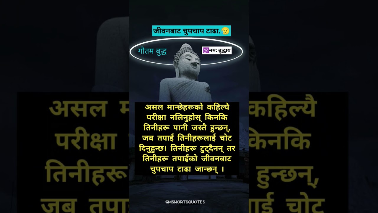 Silently away from life.🥺||Nepali Motivational Status||Inspiration Quotes|| Gautam Buddha's teachings#motivation