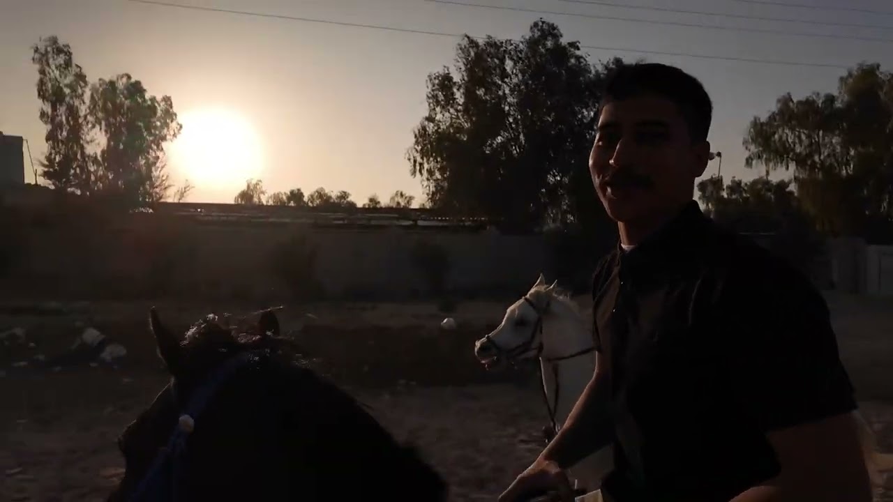 فلوق سريع بجبل الاربع 📍🏇