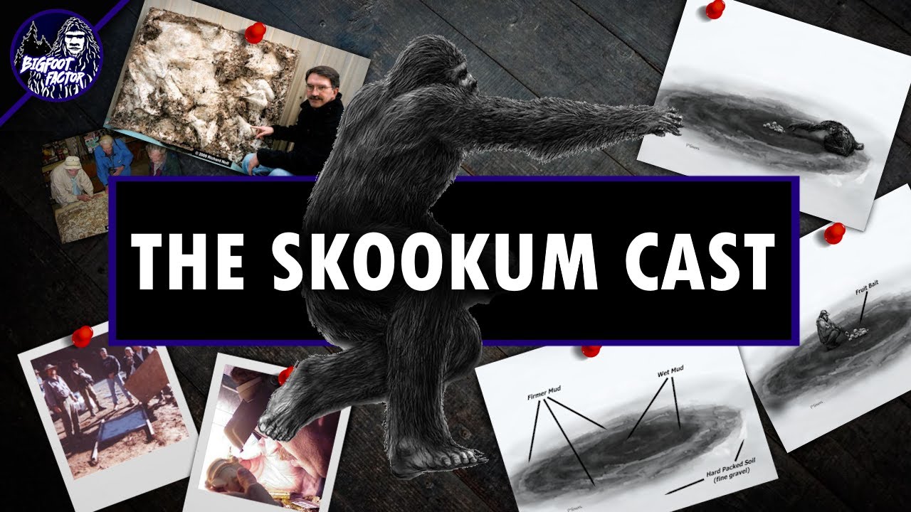 The Bigfoot Skookum Cast Controversy: A Deep Dive into Bigfoot Evidence