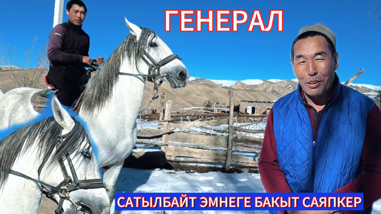 ГЕНЕРАЛ 5-ЖЫЛДЫЗДЫН ИНИСИ ПАПАН КАРА СОГОТ.