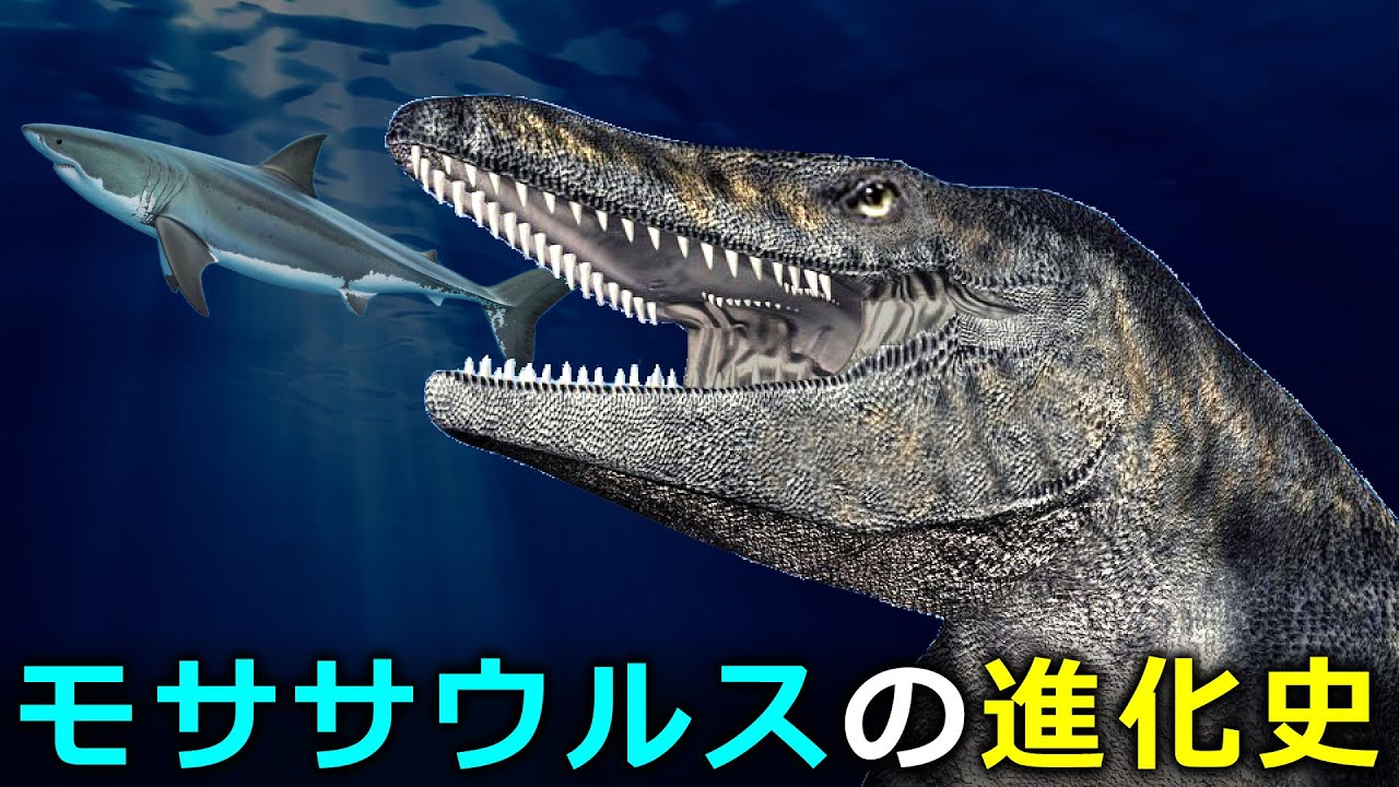最強の海棲爬虫類モササウルス（海竜）～生態系の頂点に君臨するまでの道のり～