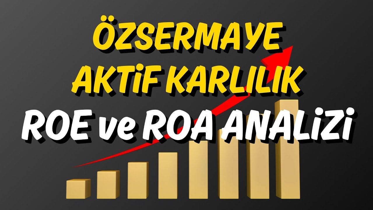 &Ouml;zsermaye ve Aktif Karlılık